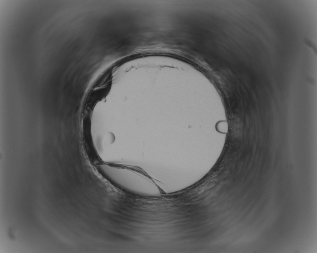 X0000094781416200712141609