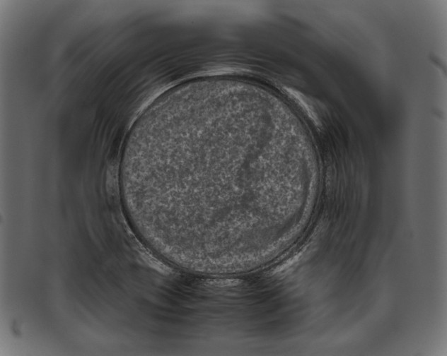 X0000094781417200712141609