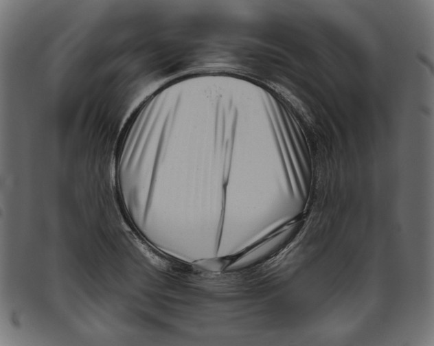 X0000094781420200712141609