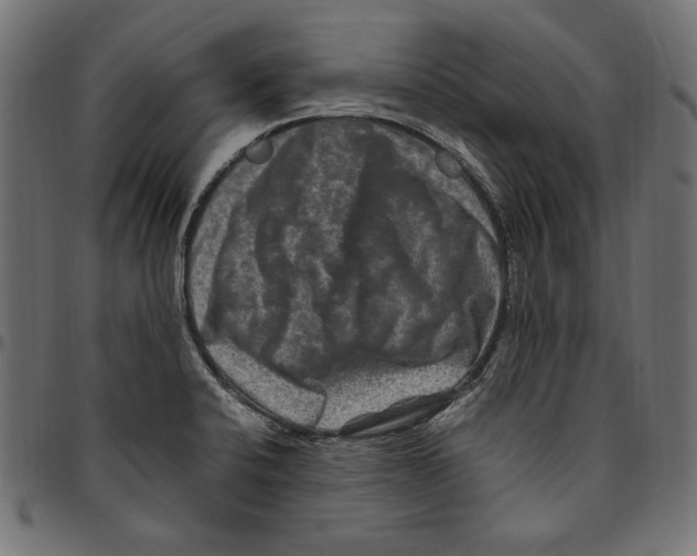 X0000094781424200712141610