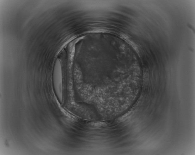 X0000094781425200712141610