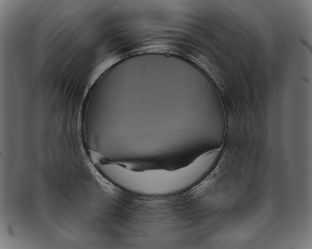 X0000094781426200712141610