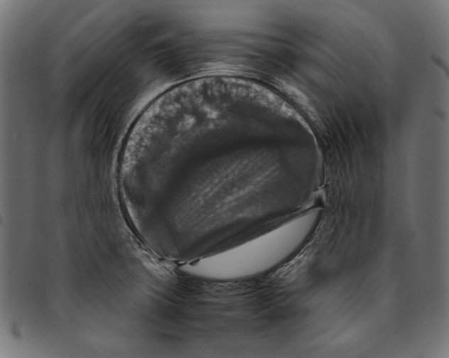 X0000094781427200712141610