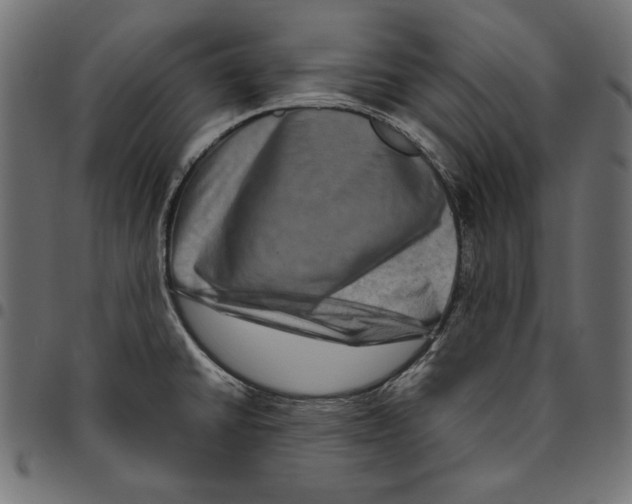 X0000094781430200712141610