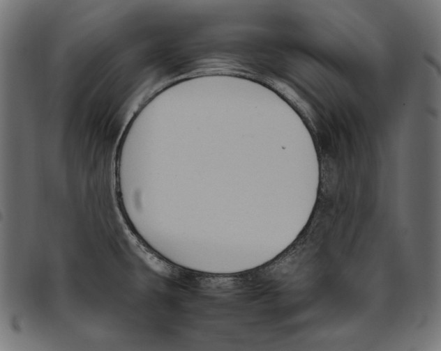 X0000094781431200712141610