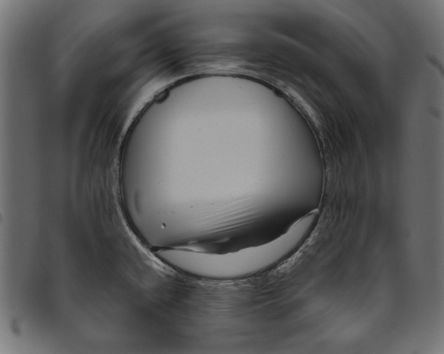 X0000094781432200712141610