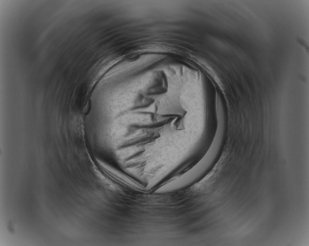 X0000094781433200712141610