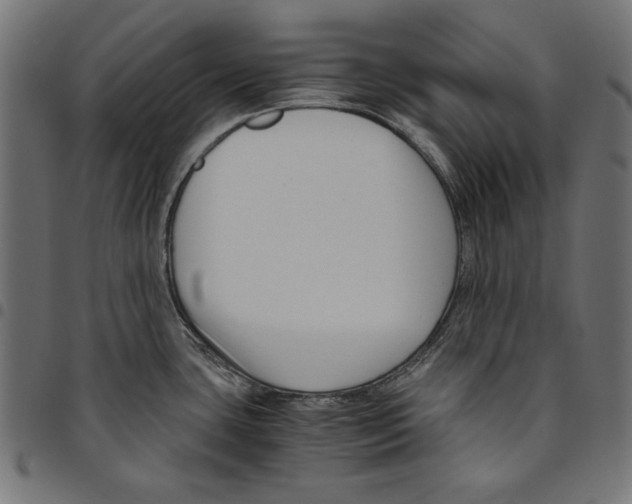 X0000094781435200712141610