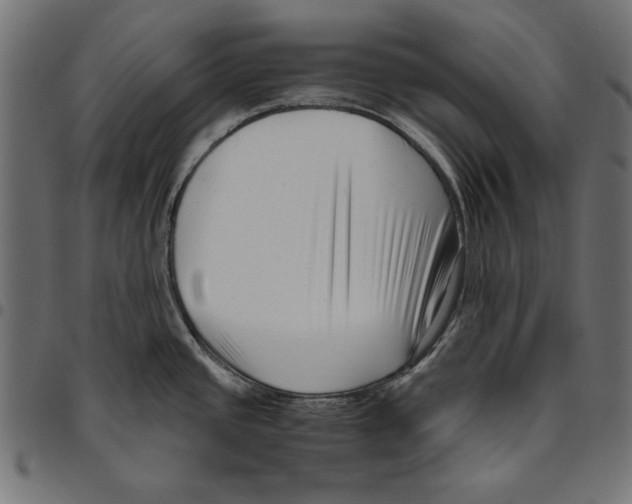 X0000094781437200712141610