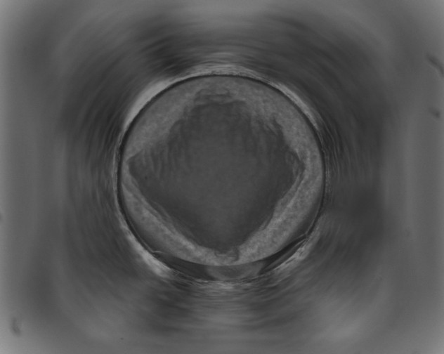 X0000094781438200712141610