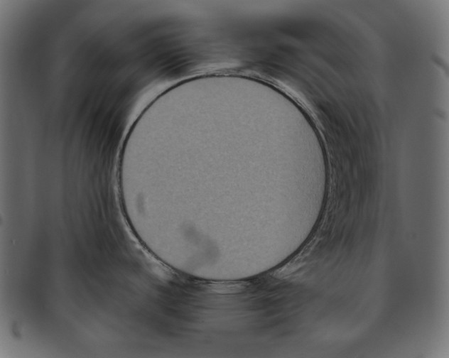 X0000094781440200712141610