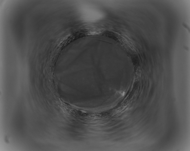 X0000094781441200712141609