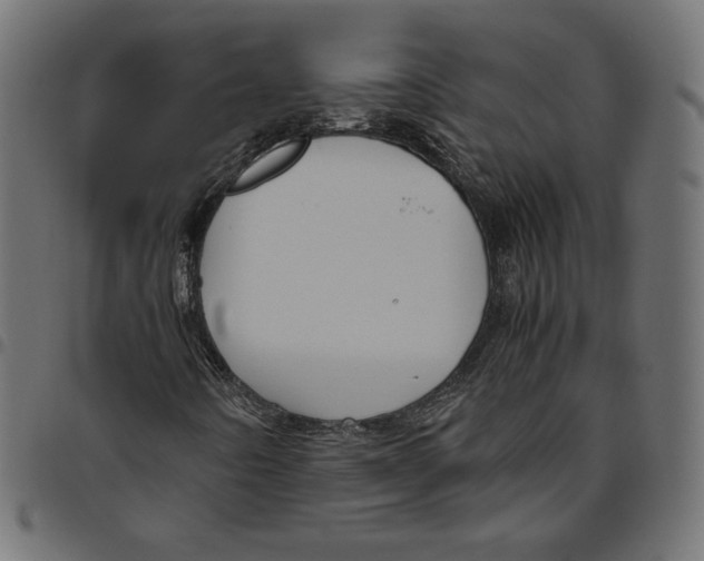 X0000094781442200712141609