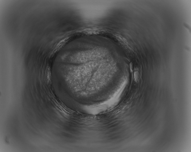 X0000094781444200712141609