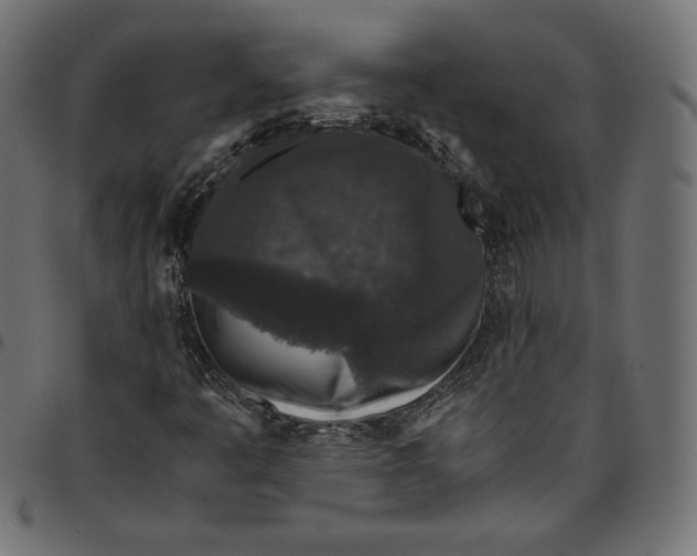 X0000094781445200712141609