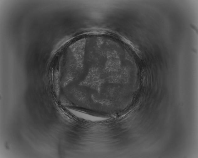 X0000094781448200712141609