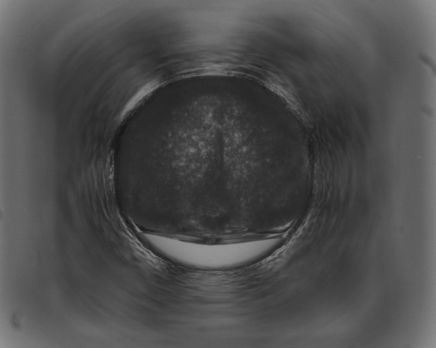 X0000094781450200712141609