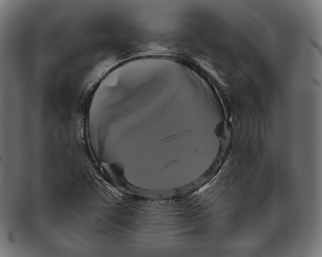 X0000094781455200712141609