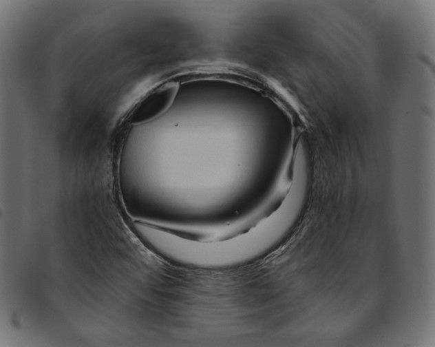 X0000094781456200712141609