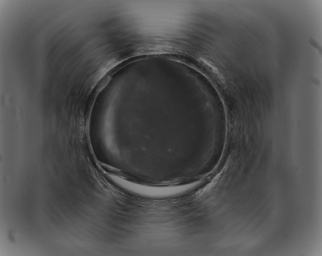 X0000094781457200712141609