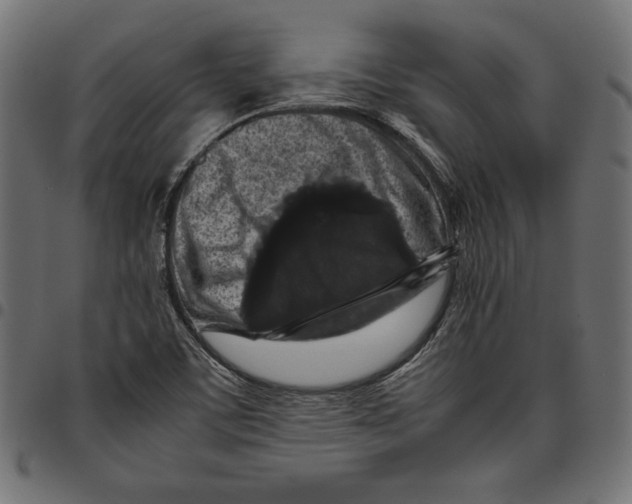 X0000094781459200712141609