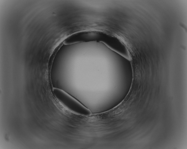 X0000094781460200712141609