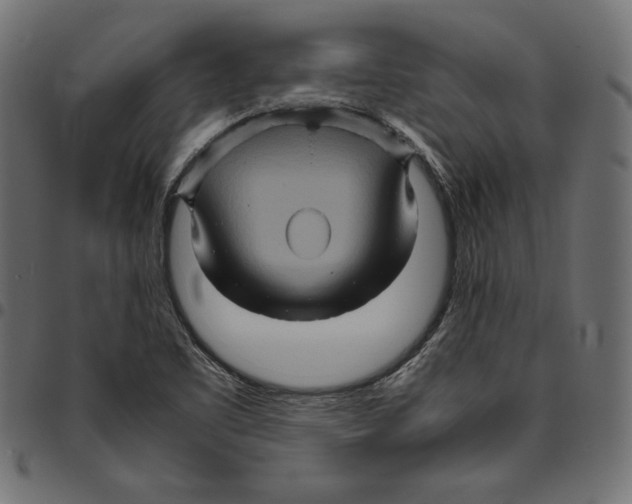 X0000094781461200712141609