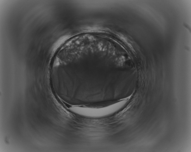 X0000094781463200712141609