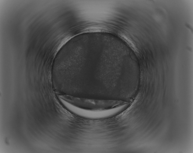 X0000094781465200712141609