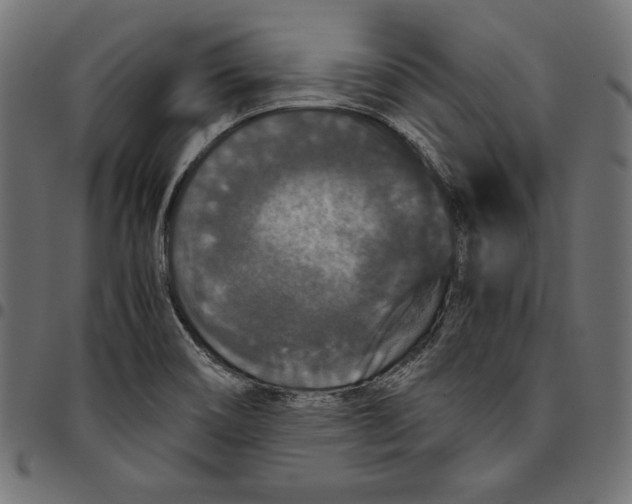 X0000094781466200712141609