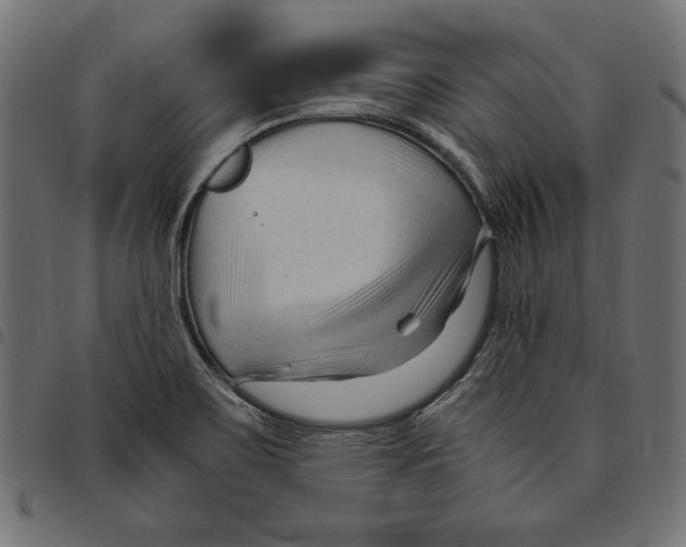 X0000094781467200712141609