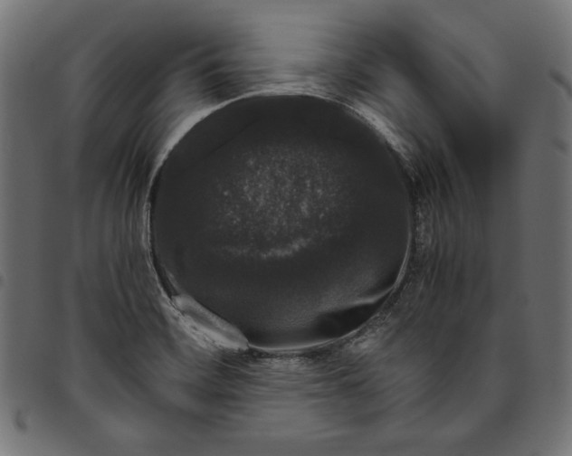 X0000094781468200712141609