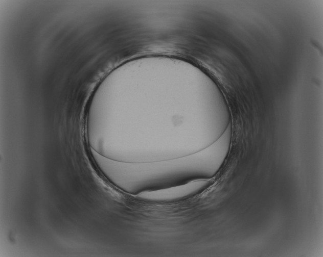 X0000094781471200712141609