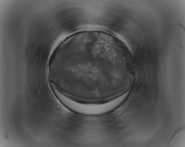 X0000094781472200712141609