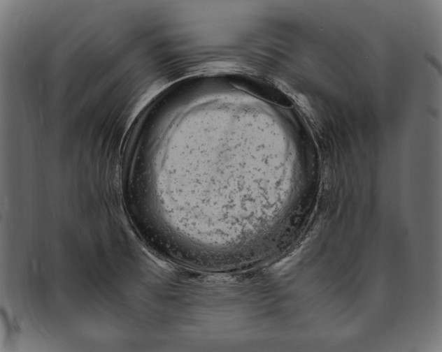 X0000094781473200712141609