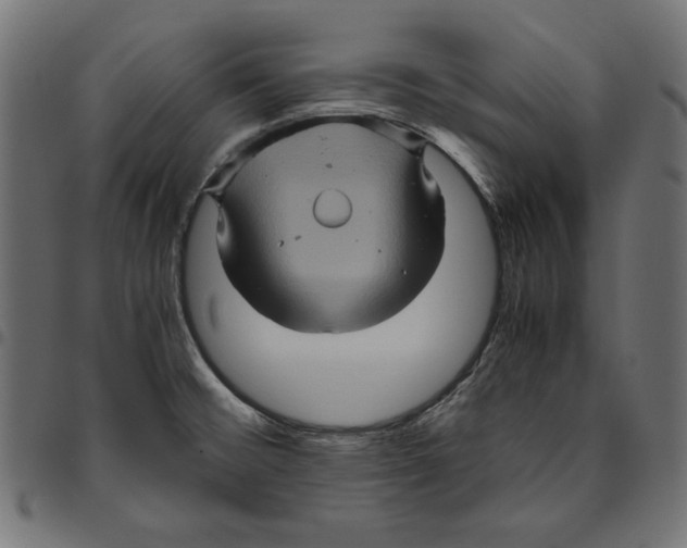 X0000094781476200712141609