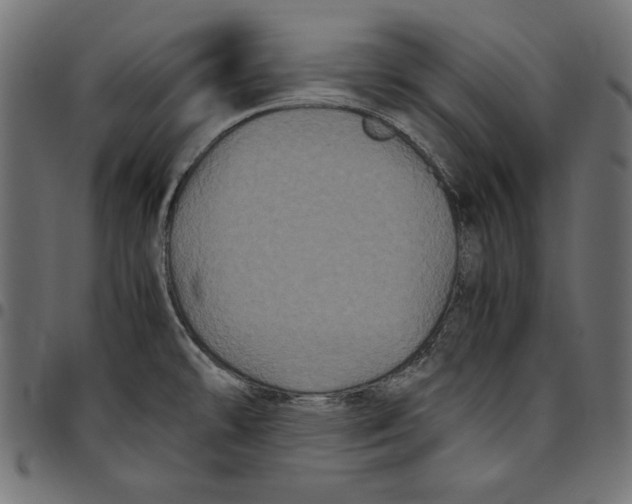 X0000094781478200712141609