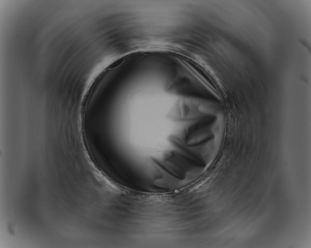 X0000094781480200712141609