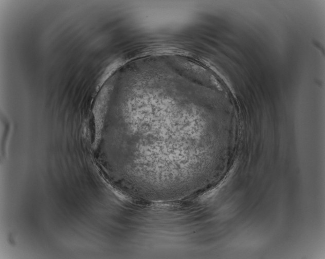 X0000094781481200712141609