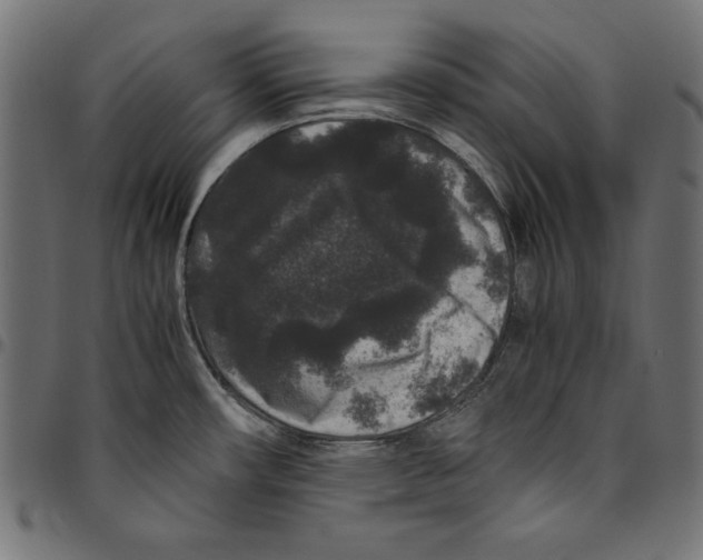 X0000094781482200712141609