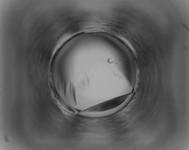 X0000094781485200712141608