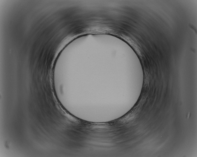 X0000094781486200712141608