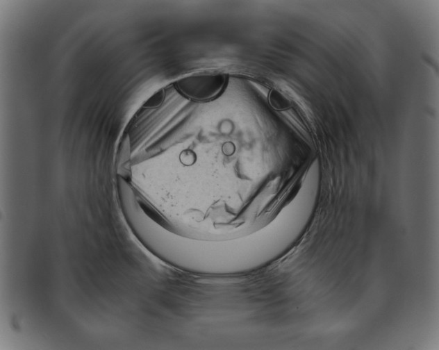 X0000094781487200712141608