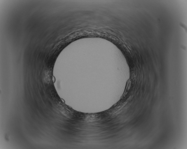 X0000094781490200712141608