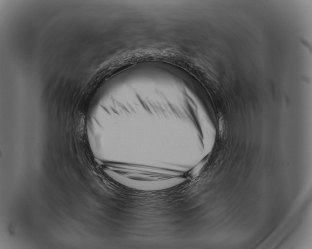 X0000094781492200712141608