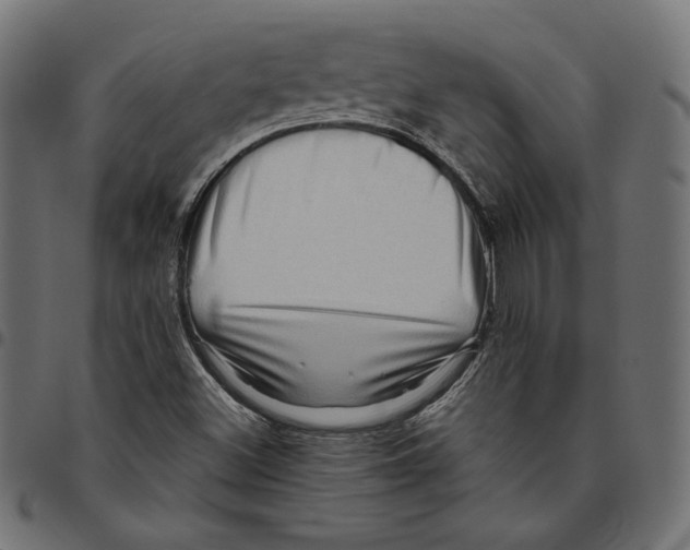 X0000094781500200712141608