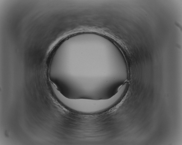 X0000094781502200712141608