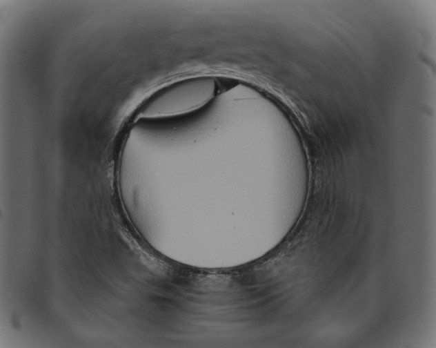 X0000094781503200712141608