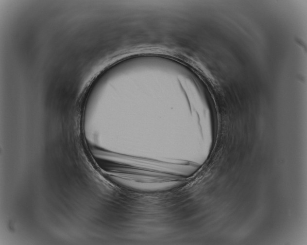 X0000094781504200712141608