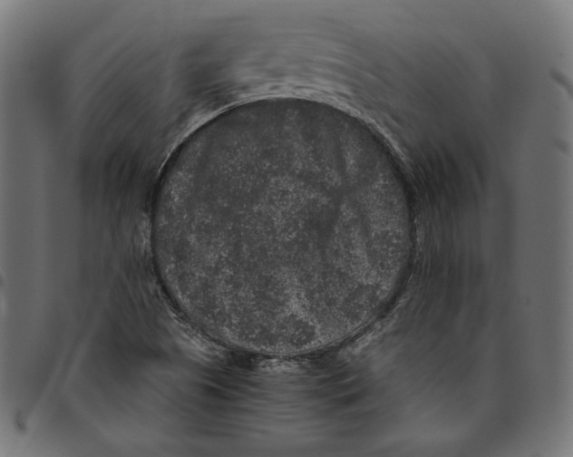 X0000094781505200712141608